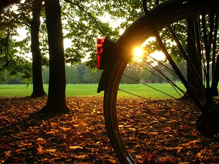 bici4